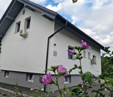 Zirovnica Apartment | Aparthouse Jana Breg