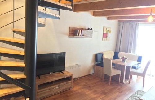 Ricky v Orlickych horach Apartment | Apartmán Říčky 23