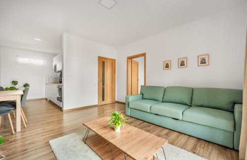 Nove Mesto nad Metuji Apartment | Apartmán Anna