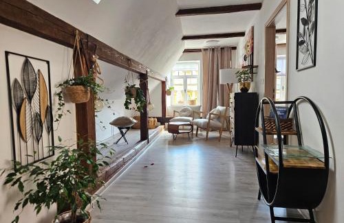Svitavy Apartment | Apartmán Andromeda