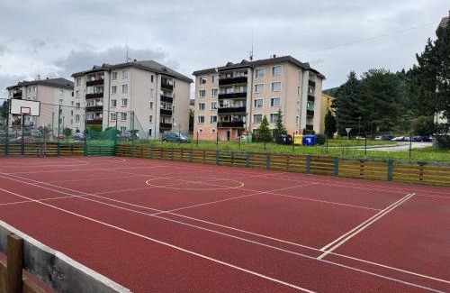 Loucna nad Desnou Apartment | Apartmán BeVi