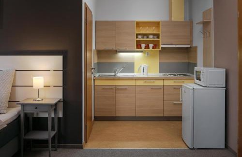 Krasna Lipa Apartment | Apartmán - Dům Českého Švýcarska