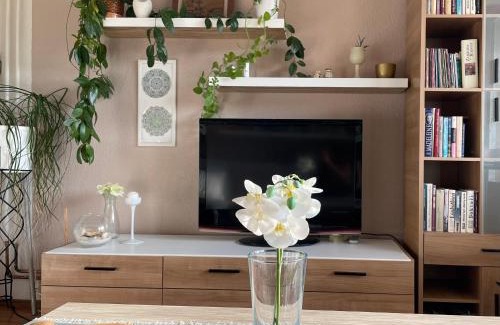Luhacovice Apartment | Apartmán Luhačovice