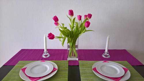 Brno-stred Apartment | Apartmán Zderadova