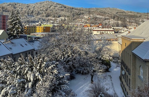 Susice Apartment | Apartmány Bašta & Wellness