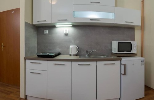 Dolni Moravice Hotel | Apartmány Divoký anděl