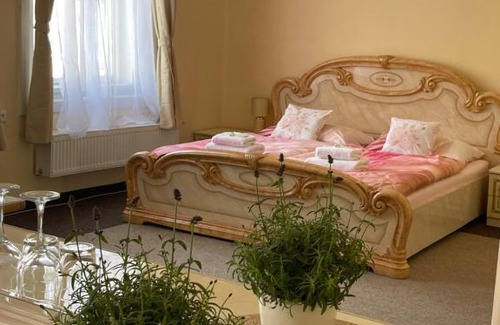 Tyniste nad Orlici House | Apartmány vila Týniště