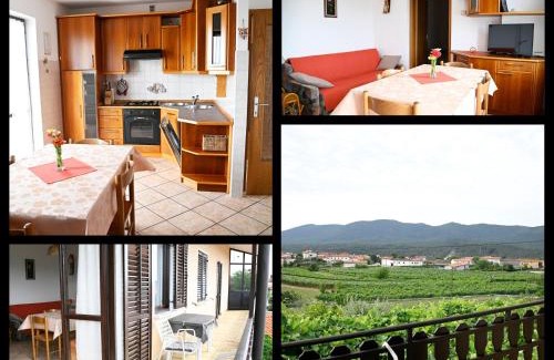 Pliskovica Apartment | Apartma Čuk