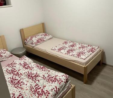 Kocevje Apartment | Apartma Šohen