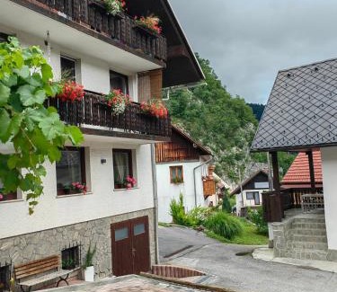 Bohinjska Bela Apartment | Apartma Bela