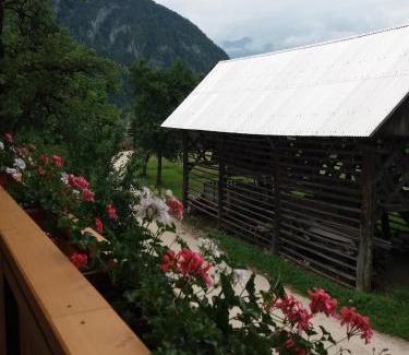 Srednja Vas v Bohinju Apartment | Apartma Momo