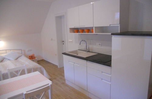 Srednja Vas v Bohinju Apartment | APARTMA STUDIO JAKA