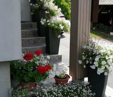 Ribcev Laz Apartment | Apartma SIMONA