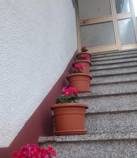 Zaga Apartment | Apartma Zora
