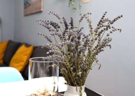 Simuni Apartment | Apartman Eva