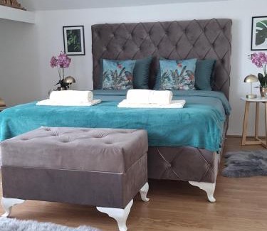 Vrbas Apartment | Apartman La Perla