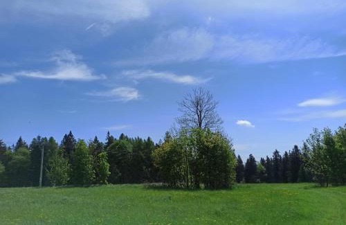 Svratka Apartment | apartman Luník