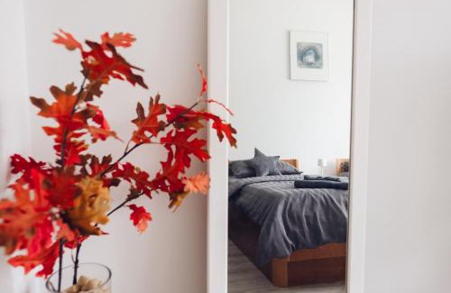 Ilok Apartment | Apartman Marija Ilok