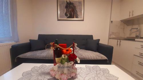 Pale Apartment | Apartman MiSSS