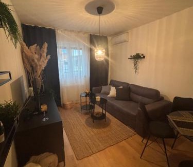 Samobor Apartment | Apartman Pinea