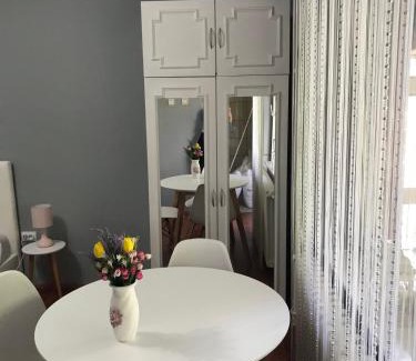 Sremski Karlovci Apartment | Apartman studio Pavle i Petra