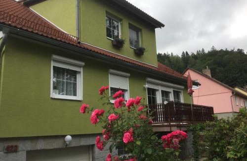 Bela pod Pradedem House | Apartman U Hanicky