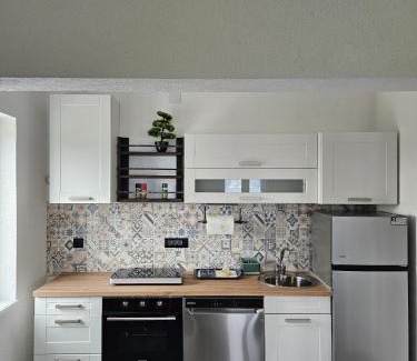 Skrbcici Apartment | Apartmani 1 Pinezici