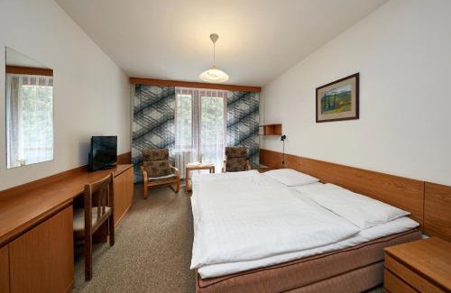 Pec pod Snezkou Apartment | Apartmany Firn