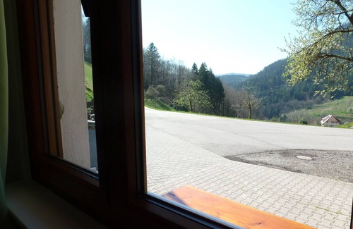 Bad Peterstal-Griesbach Apartment | Apartment 'Bergblick' with Mountain View, Shared Terrace and Wi-Fi