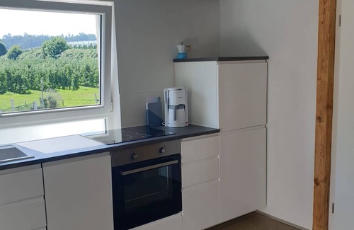 Kressbronn Apartment | Apartment 'Jakob' with Private Terrace and Wi-Fi