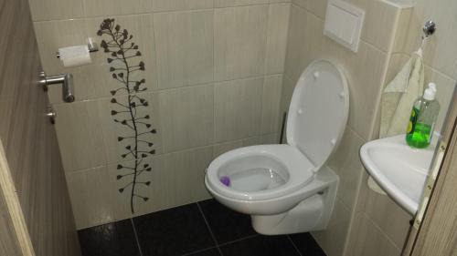 Miklavz na Dravskem Polju Apartment | Apartments Akacijev Izvir