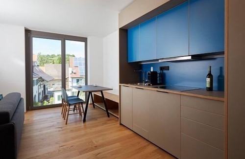 Singen Apartment | Apartment über dem Wasser, 57qm, 1 Schlafzimmer, 1 Wohn-/Schlafzimmer, Loggia, max. 4 Personen