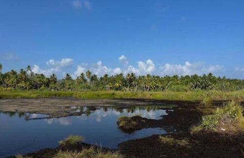 Fuvahmulah Apartment | Apartment ∙ 2 bedrooms ∙ 6 guests