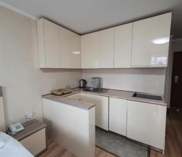 Bakuriani Apartment | Apartment 607 in ORBI PALACE