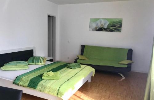 Ascona Apartment | Apartment al Lido Ascona
