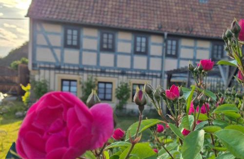 Soernewitz Apartment | Apartment am Boselgarten