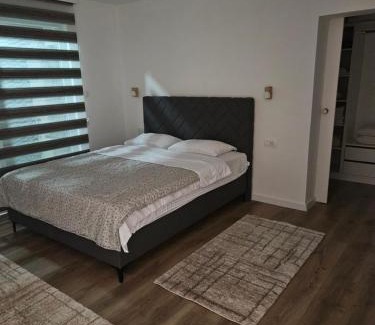 Donje Polje Apartment | Apartment Anita Cetinje