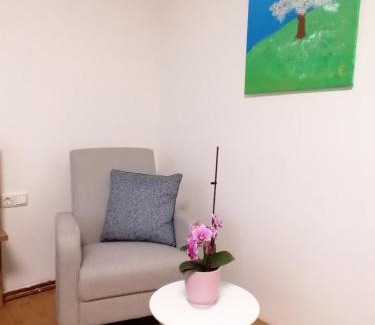 Seitenstetten Apartment | Apartment Anna im Mostviertel