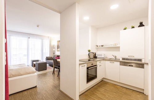 Schladming Apartment | Apartment with roof terrace