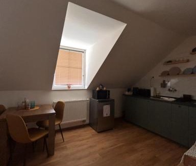 Predni Kopanina Apartment | Apartment Drahuska