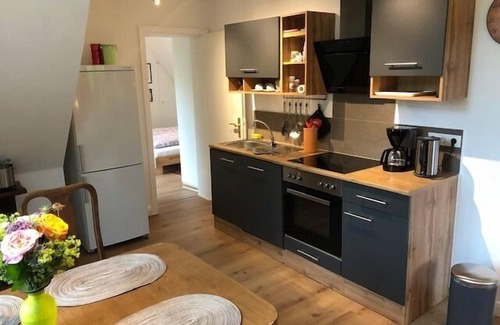 Neuses Apartment | Apartment "family" (85sqm) with balcony and garden use
