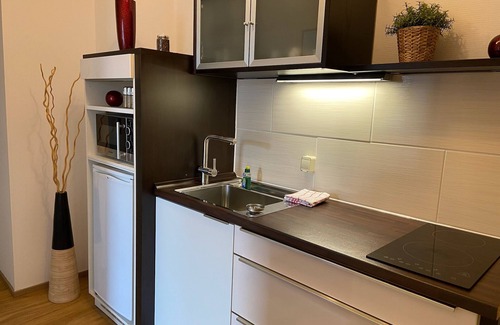 Laubegast Apartment | apartment for 4 people with kitchen & balcony, view of the Elbe & free Wi-Fi