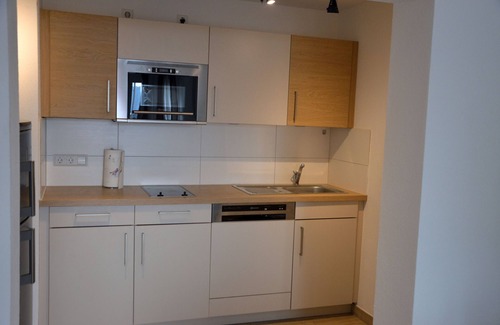 Bodman-Ludwigshafen Apartment | Apartment 'Haldenhof, 58qm' with Lake View, Private Terrace and Wi-Fi
