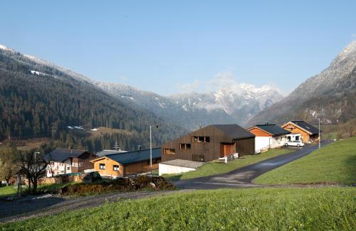 Wald am Arlberg Apartment | Apartment Hoamelig