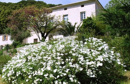 Ersa Apartment | Apartment in a manor house at Corsican Cape