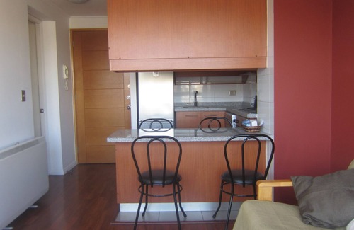 Downtown Santiago Apartment | Apartment in residence