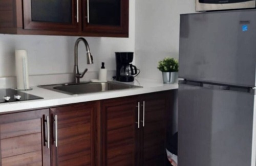 Sabana Llana Sur Apartment | Apartment in San Juan, with free parking
