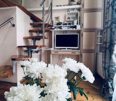 Kosuv Stary Apartment | Apartment in the city center mini