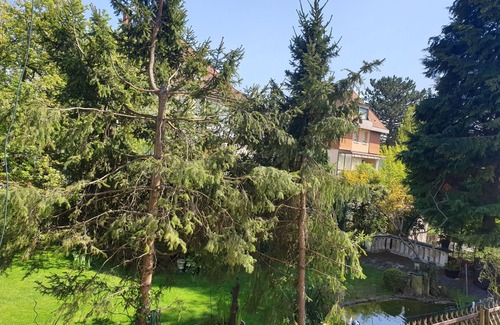 Kehl Apartment | Apartment Kehl central and quiet near Strassbourg/Europapark
