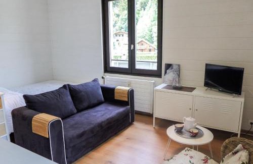 Chamonix-Mont-Blanc Apartment | Apartment Le Cristal des Glaces by Interhome